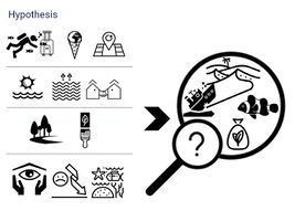 Based on the DPSIR Model, we hypothesized that the Landscape of Aqaba city would be subject to severe changes due to the rising demands on recreational facilities and the diving tourism, aside from the climate change which is not attracting enough authority's attention until this day. This would lead to the change of biodiversity and of course, would result in the damage and the loss of the coral reefs. Also, the industrial zone of Aqaba has been relocated from the middle area along the shoreline to the southern end of the shoreline, and therefore we have hypothesized that the industrial zone might also be subject to expansions, which could result in pollution and environmental degradation.