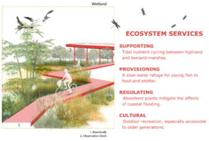 Urban wetland parks build capital through a number of different ways.