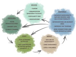 DPSI(R) model that summrizes the landscape system analysis. This model identifies the driving forces, pressures, state and impact of Merimetsa/Stroomi area and the possible responces.