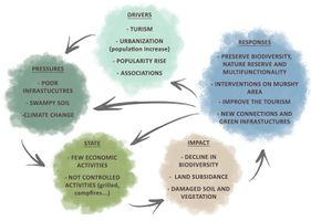 DPSI(R) model that summrizes the landscape system analysis. This model identifies the driving forces, pressures, state and impact of Merimetsa/Stroomi area and the possible responces.