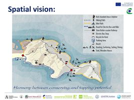 Spatial vision with specific activities