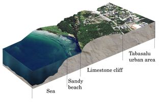 Transect of the sea, cliff and Tabasalu living area