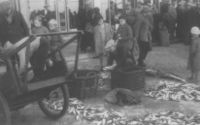 The fish auction in De Panne in 1930s. Author G.Devent