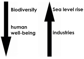 There is therefore a decrease in biodiversity and human well-being to the benefit of the development of industries and the problems linked to sea level rise