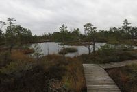 Luitemaa LKA bog