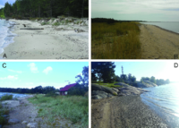 The landscape on the coast of Kopli Lines and it's neighbours