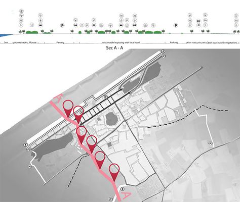 Transect