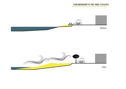 The last intervention,re-proposed by a project idea that analyzed the problem of urbanization towards the east, on the coast contrasts the problem of the wind, with the insertion of trees, and the rise of the sea with the increase of the sandy area.