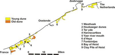 Dune formations http://www.coastalwiki.org/wiki/Sand_dune_-_Country_Report,_Belgium