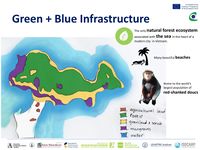 Green + Blue Infrastructure