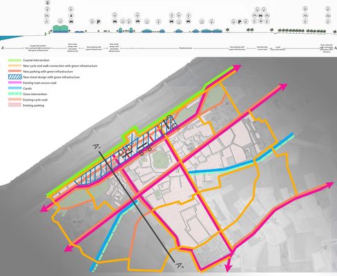 Transect A'-A''