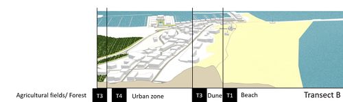 Transect Detail 2