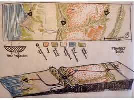 Transect of the area leading through various habitats