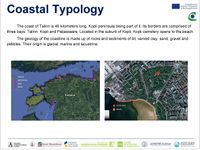 coastal typology