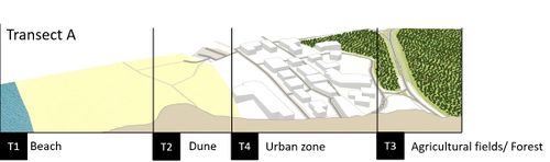 Transect Detail 1