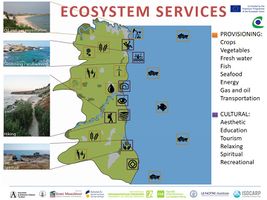 The results after quantifying the ecosystem services are comprehensible. Mainly in Limanu - Shabla area provisioning and cultural services are the most common ones. Provisioning services like crops, vegetables, fresh water, fish, seafood, energy, gas and oil, transportation are showing how valuable is the this area for people who are living in this area. Cultural ecosystem services: aesthetic, education, tourism, relaxing, spiritual, recreational. Both provisioning and cultural ecosystem services are bringing a high economic income but not only.