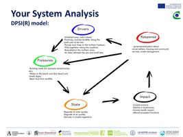 DPSR(I) MODEL