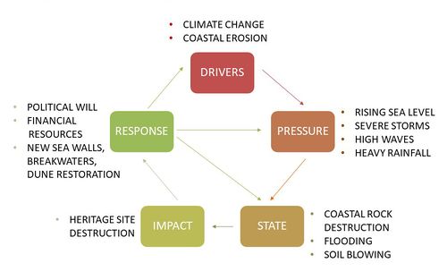 The figure shows the main drivers, possible pressure and state of the environment, future consequences and potential steps for problem solving.