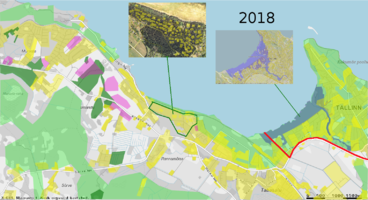 Condition of the current situation in 2018. One good example near Rannamõisa, how to divide plots in rural area (shown on the upper left photo). Plot location and sizes (marked yellow on the photo) are done maintaining green structure and sizes are not very big and located sparsely, leaving room for plants to exist and animals to inhabit.