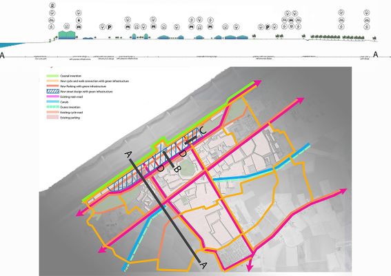 Transect