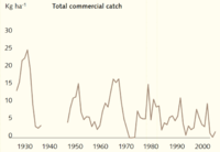 Amount of commercial fish catches in Peipsi lake