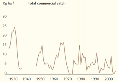 Amount of commercial fish catches in Peipsi lake