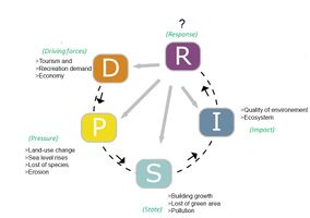 DPSI(R) model