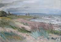 "Lahemaa beach" oil, hardboard 1998 (49x70 cm)/Kalju Nagel - Kunst /erakogu ( private collection)