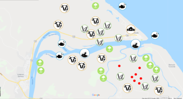Mapping the problems on the site