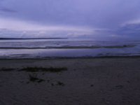 Tiskre: Flat sandy foreshore. 23. august 2011. Photo by Piret Kuub. Link: https://et.wikipedia.org/wiki/Kakum%C3%A4e_(Tallinn)#/media/File:Kakum%C3%A4e_rand.JPG