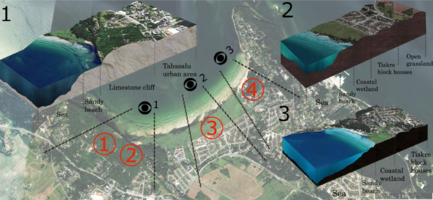 Transect locations in Kakumäe coastal area