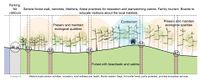 Transect B