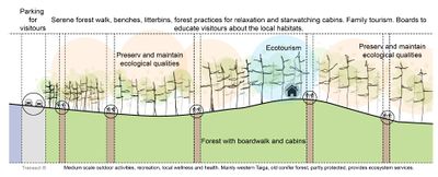 Transect B