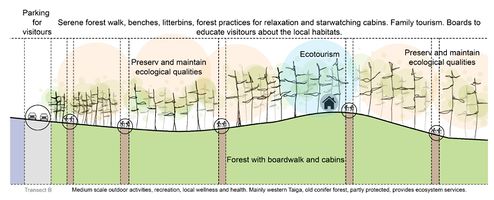 Transect B