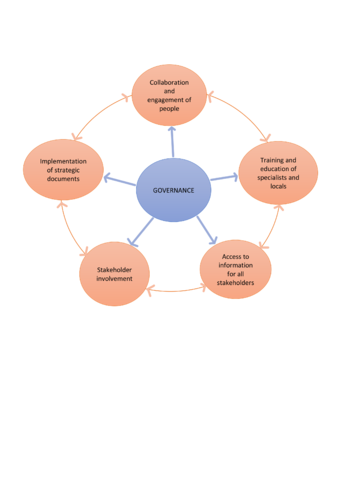 Governance model for accomplishing our stated vision.