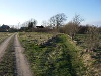 Heritage object - an old village street lined with stonewalls in Rannametsa village