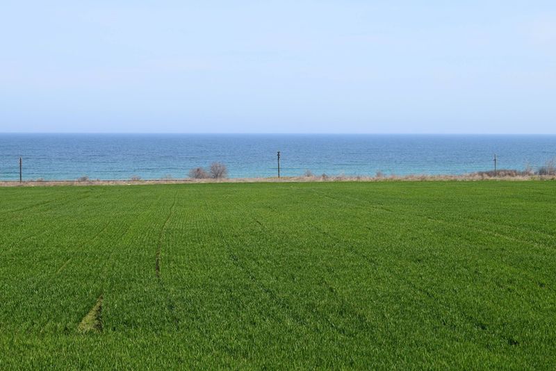 File:Green blue wiki (4).jpg