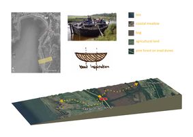 Transect of the area leading through various habitats