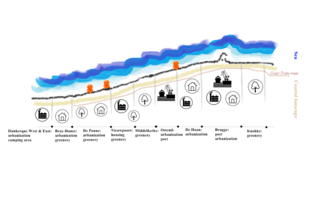 Flemish Coast Transect