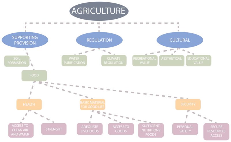 File:ES CLASSIFICATION AGR.png