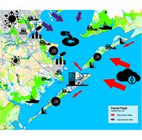 Threats posed to Galveston Bay: Habitat degradation/fragmentation, Pollution – dead zone, Rising water, Erosion from storms and exposed land