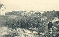 Dunes of De Panne, to the left of the road that connected the then tram stop to the beach, august 1906. Author J. Massart