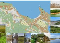 Green and blue infrastructure of Kakumäe Bay area. Numbers showing location. 1) cane grass 2) forest 3) sea & beach 4) Tiskre stream and its corridor 5) lake Harku 6) cliff 7 & 8) private gardens 9) street trees 10) grassland 11) hiking trail 12) Rannamõisa protection area 13) Muraste protection area 14) Muraste bog.