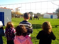 School Farm