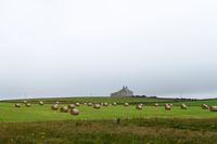 Agriculture and Farmland