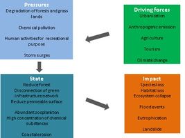 DPSI(R) model showing driving forces (urbanization), pressures (degradation of forest/ grasslands), state of situation (degradation of forest leads to disconnection of green infrastructure) and impact (species/ habitat loss.