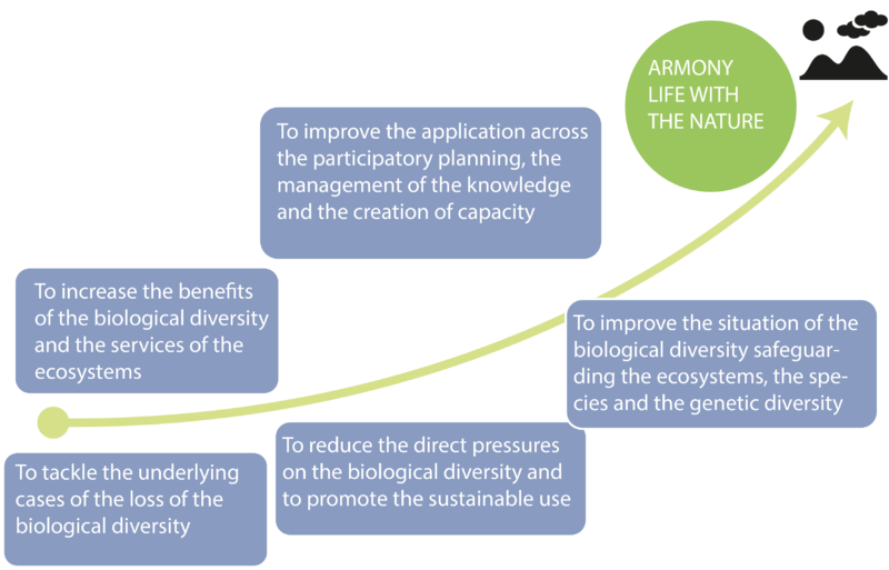 File:STRATEGy.png