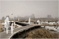 Boardwalk over meadow