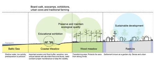 Transect B