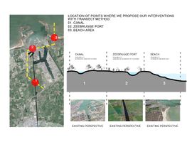 Transect